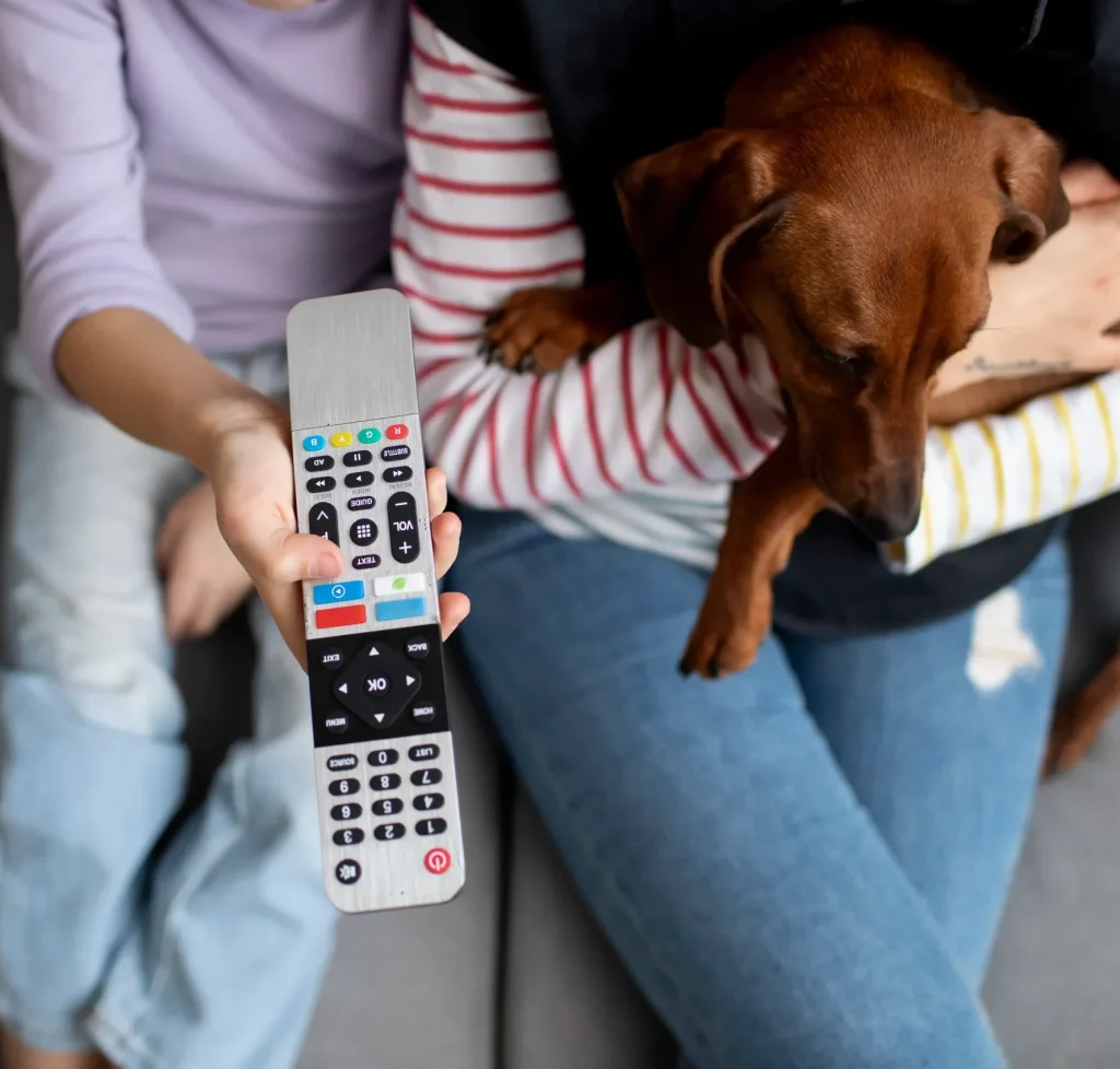cerca de hermoso perro salchicha pasar tiempo con la familia